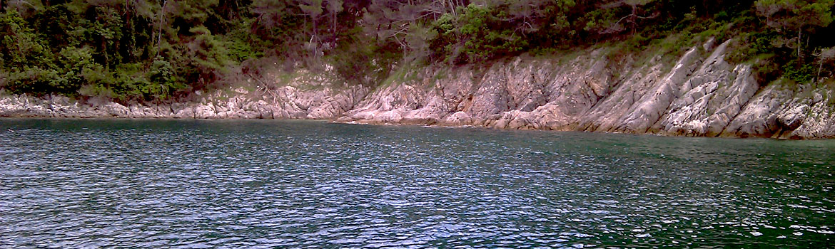 Tauchen in Kroatien - Istrien
